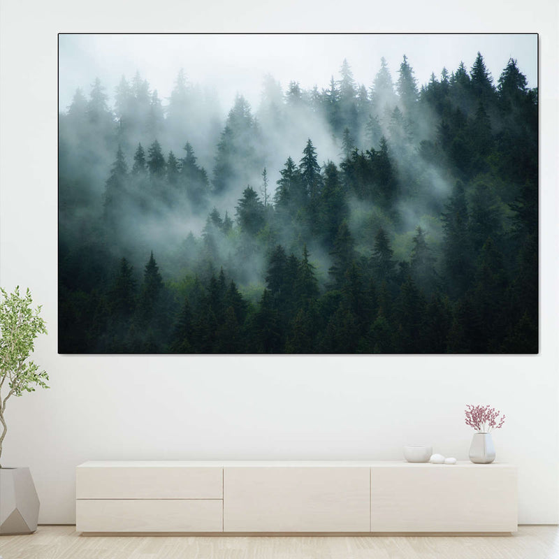 Misty Fir Forest Wall Art