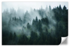 Misty Fir Forest Wall Art