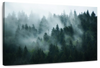 Misty Fir Forest Wall Art