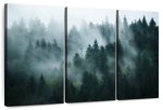 Misty Fir Forest Wall Art