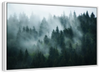 Misty Fir Forest Wall Art