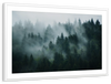 Misty Fir Forest Wall Art