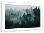 Misty Fir Forest Wall Art
