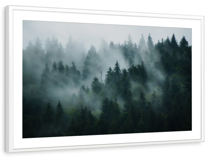 Misty Fir Forest Wall Art