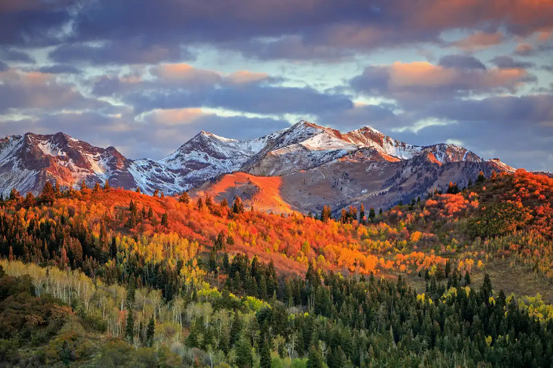 Wasatch Mountain Wall Art