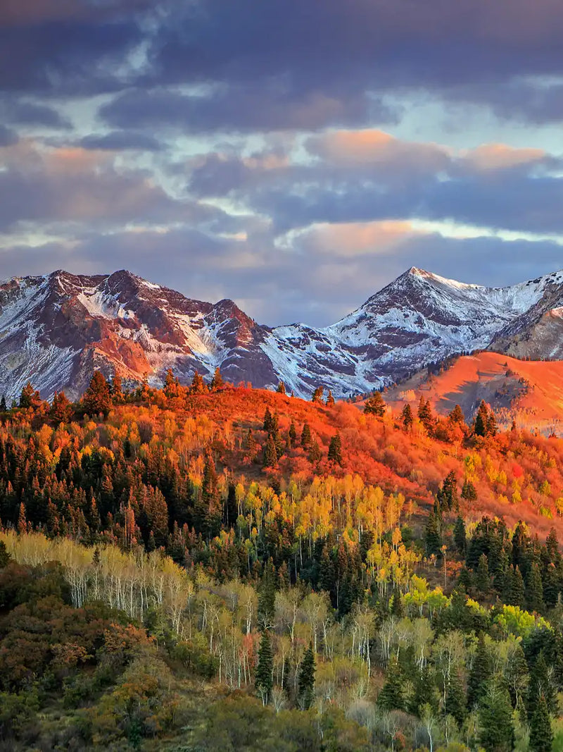 Wasatch Mountain Wall Art