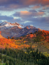 Wasatch Mountain Wall Art
