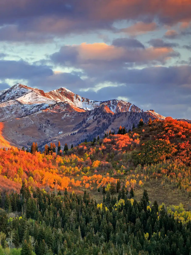 Wasatch Mountain Wall Art