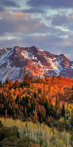 Wasatch Mountain Wall Art