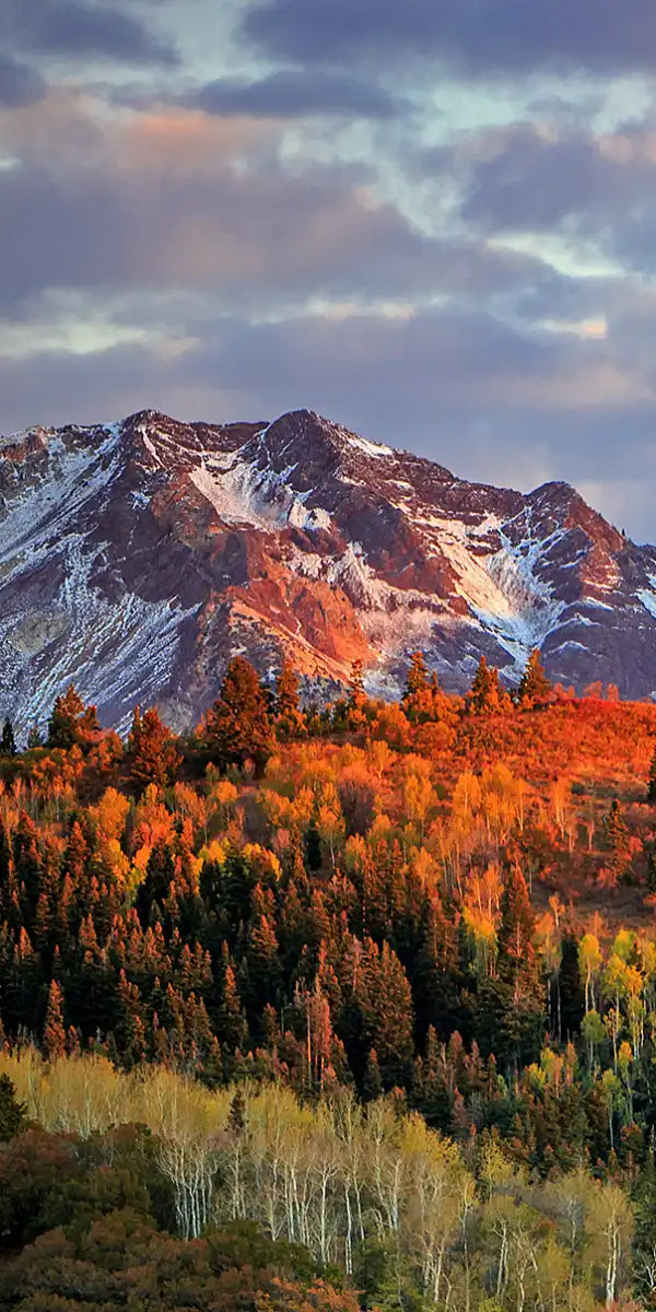 Wasatch Mountain Wall Art