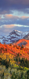 Wasatch Mountain Wall Art