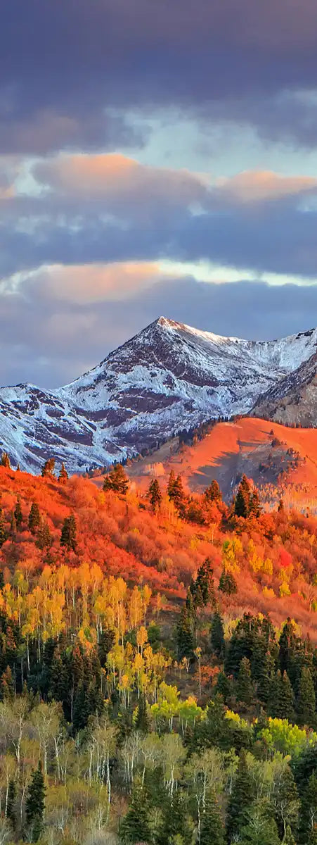 Wasatch Mountain Wall Art