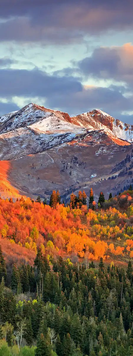 Wasatch Mountain Wall Art