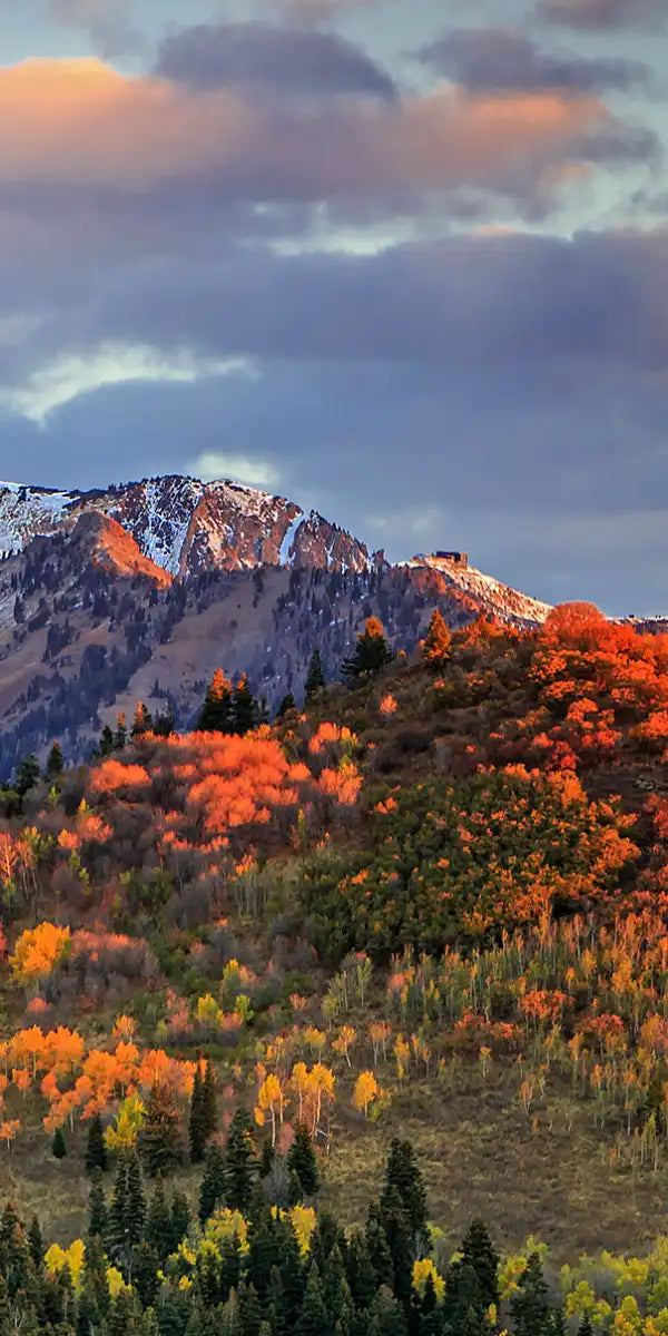 Wasatch Mountain Wall Art