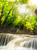 Waterfall Elephant Wall Art