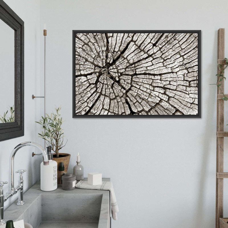Tree Stump Wall Art