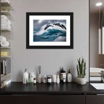 Leaping Dolphins Wall Art