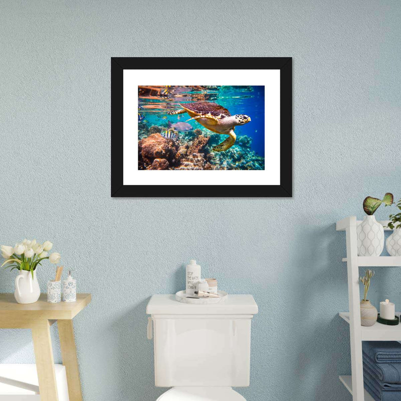 Vivid Sea Life Wall Art
