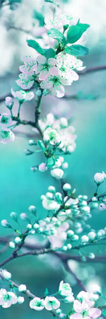 White Cherry Blossoms In Japan Wall Art