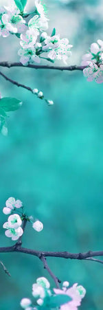 White Cherry Blossoms In Japan Wall Art