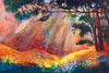 White Mountain National Forest Wall Art