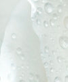 White Rose Close Up Wall Art
