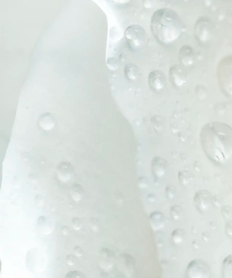 White Rose Close Up Wall Art