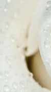 White Rose Close Up Wall Art