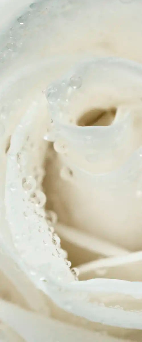 White Rose Close Up Wall Art