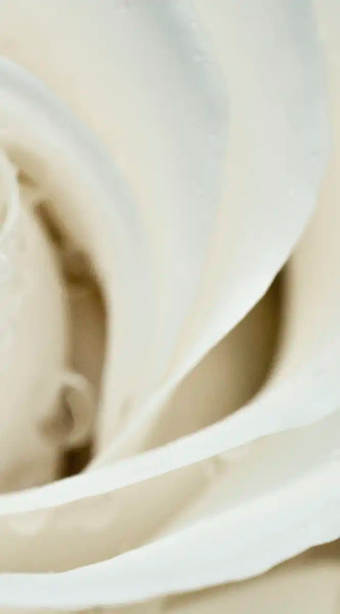 White Rose Close Up Wall Art