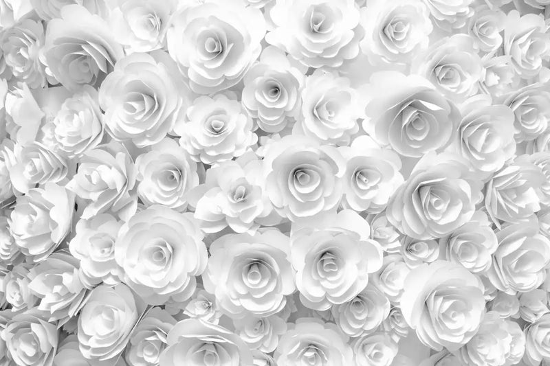 White Roses Wall Art
