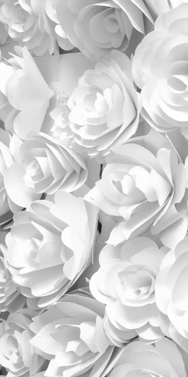 White Roses Wall Art