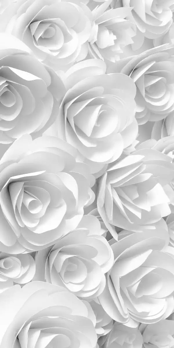 White Roses Wall Art