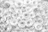 White Roses Wall Art