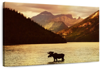 Lake Moose Wall Art