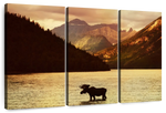 Lake Moose Wall Art