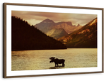 Lake Moose Wall Art