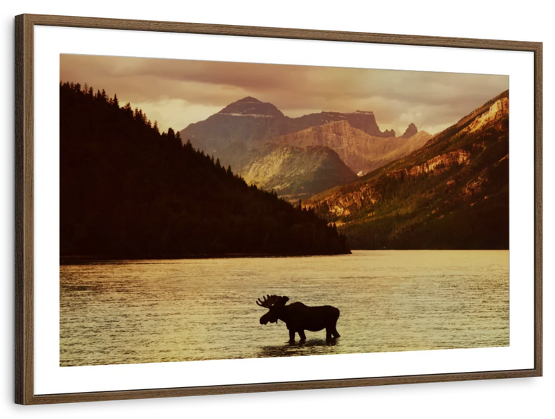 Lake Moose Wall Art