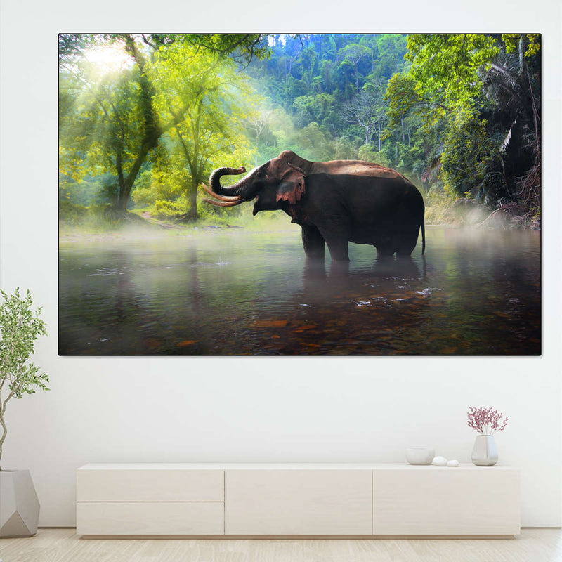 Wild Elephant Wall Art