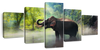 Wild Elephant Wall Art