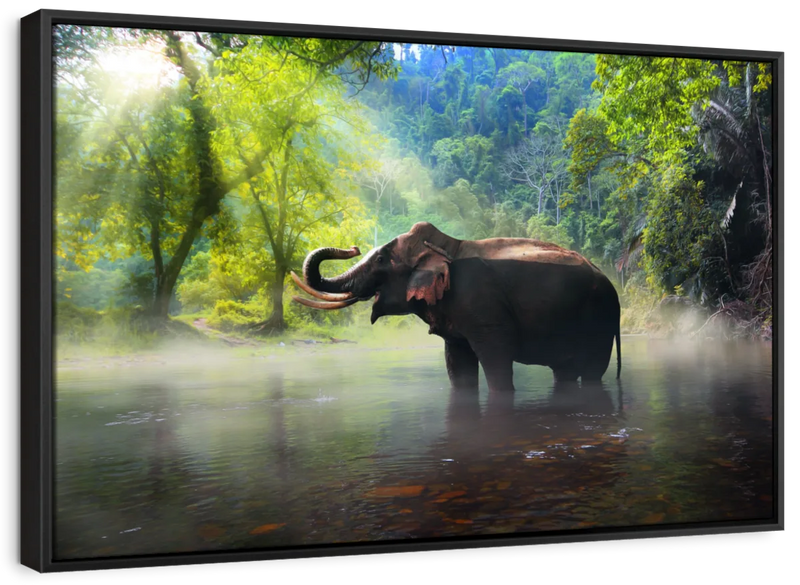 Wild Elephant Wall Art