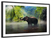 Wild Elephant Wall Art