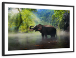 Wild Elephant Wall Art