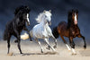 Wild Colorful Horses Wall Art
