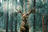 Wild Forest Moose Wall Art
