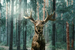 Wild Forest Moose Wall Art