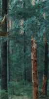 Wild Forest Moose Wall Art