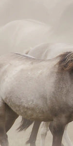 Wild Horse Stampede Wall Art