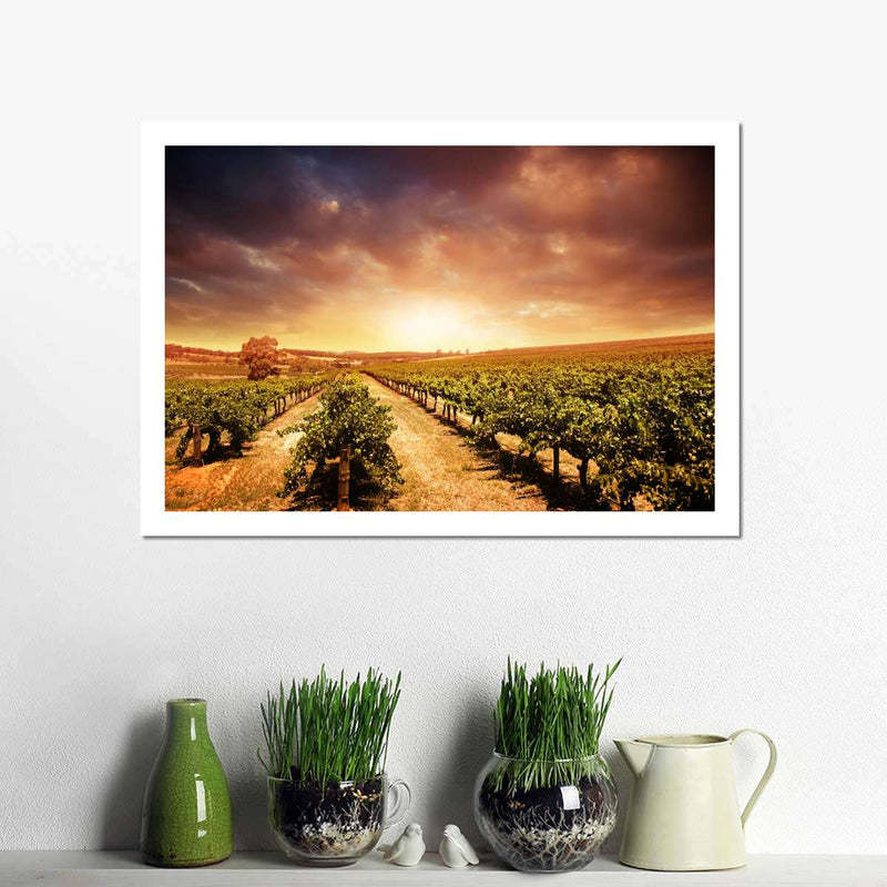 Vineyards Wall Art