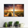 Vineyards Wall Art